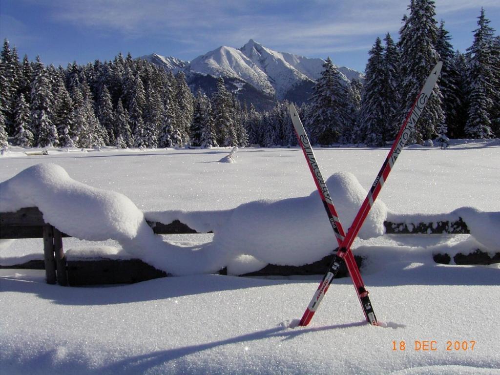 Krosbacher Hof Seefeld in Tirol Værelse billede
