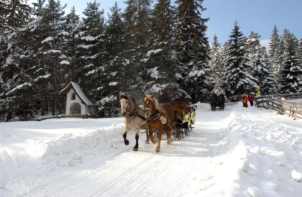 Krosbacher Hof Seefeld in Tirol Eksteriør billede